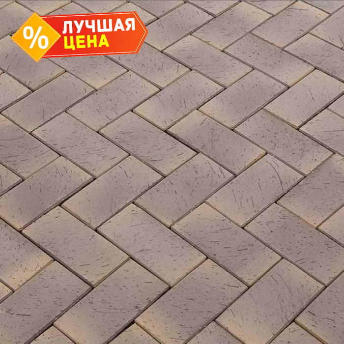 Клинкерная брусчатка Lode Gobi темно-пестрая шероxоватая, 200x100x47 мм